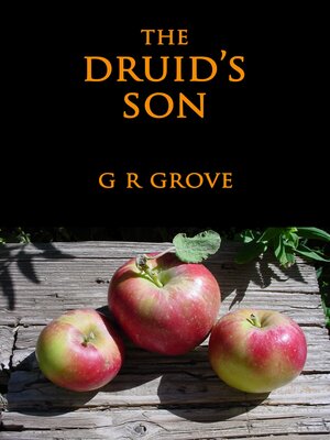 cover image of The Druid's Son